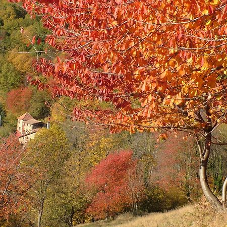 Affittacamere Casa Etxalde Camprodon Esterno foto